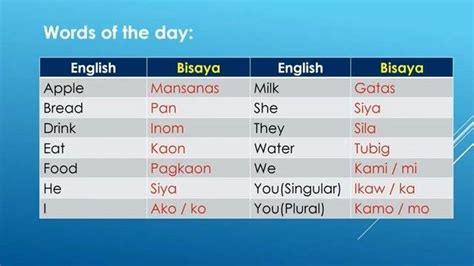 cebuano to englis|Translate Cebuano to English .